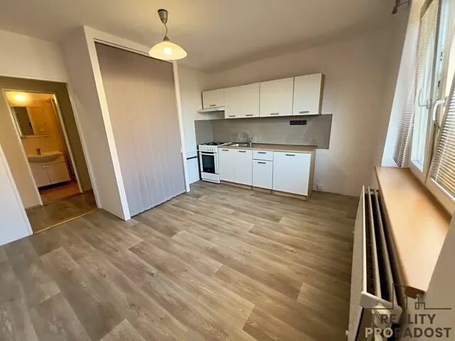 Pronájem bytu 1+1 35 m²